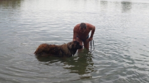 George. Disfrutando del agua